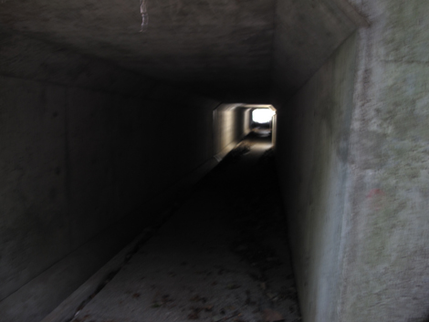 20151021hike (397)